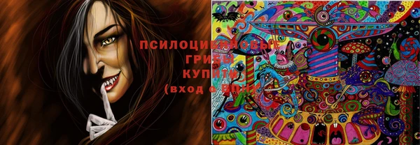 молекула духа Бугульма