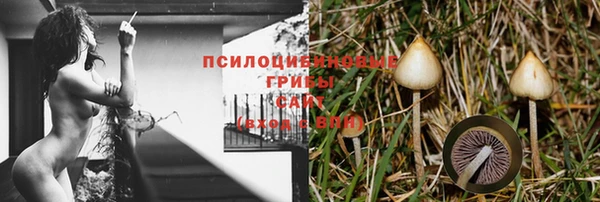 jwh Бородино
