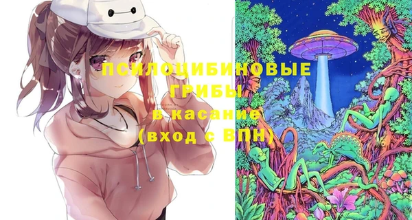 молекула духа Бугульма